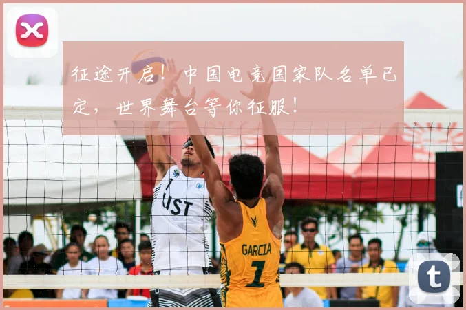 征途开启!中国电竞国家队名单已定,世界舞台等你征服!