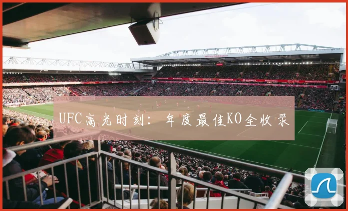 UFC高光时刻：年度最佳KO全收录