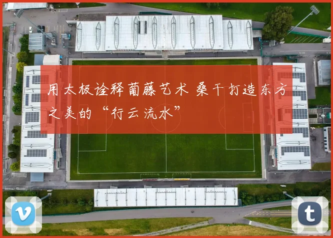 用太极诠释葡藤艺术 桑干打造东方之美的“行云流水”