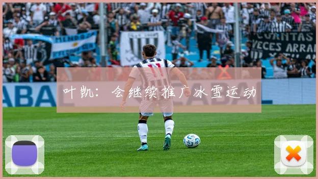叶凯：会继续推广冰雪运动