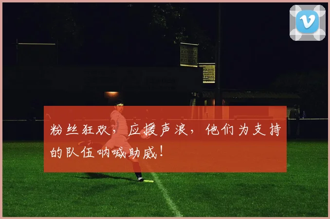 粉丝狂欢，应援声浪，他们为支持的队伍呐喊助威！