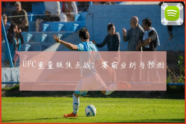 UFC重量级焦点战：赛前分析与预测
