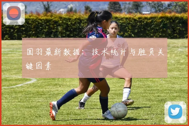 国羽最新数据：技术统计与胜负关键因素