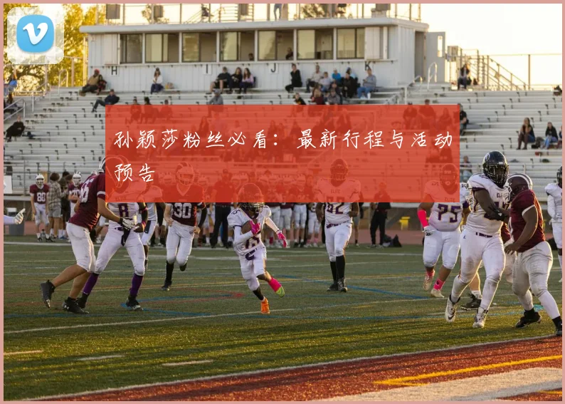 孙颖莎粉丝必看:最新行程与活动预告