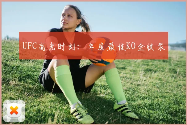 UFC高光时刻：年度最佳KO全收录