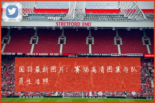 国羽最新图片：赛场高清图集与队员生活照
